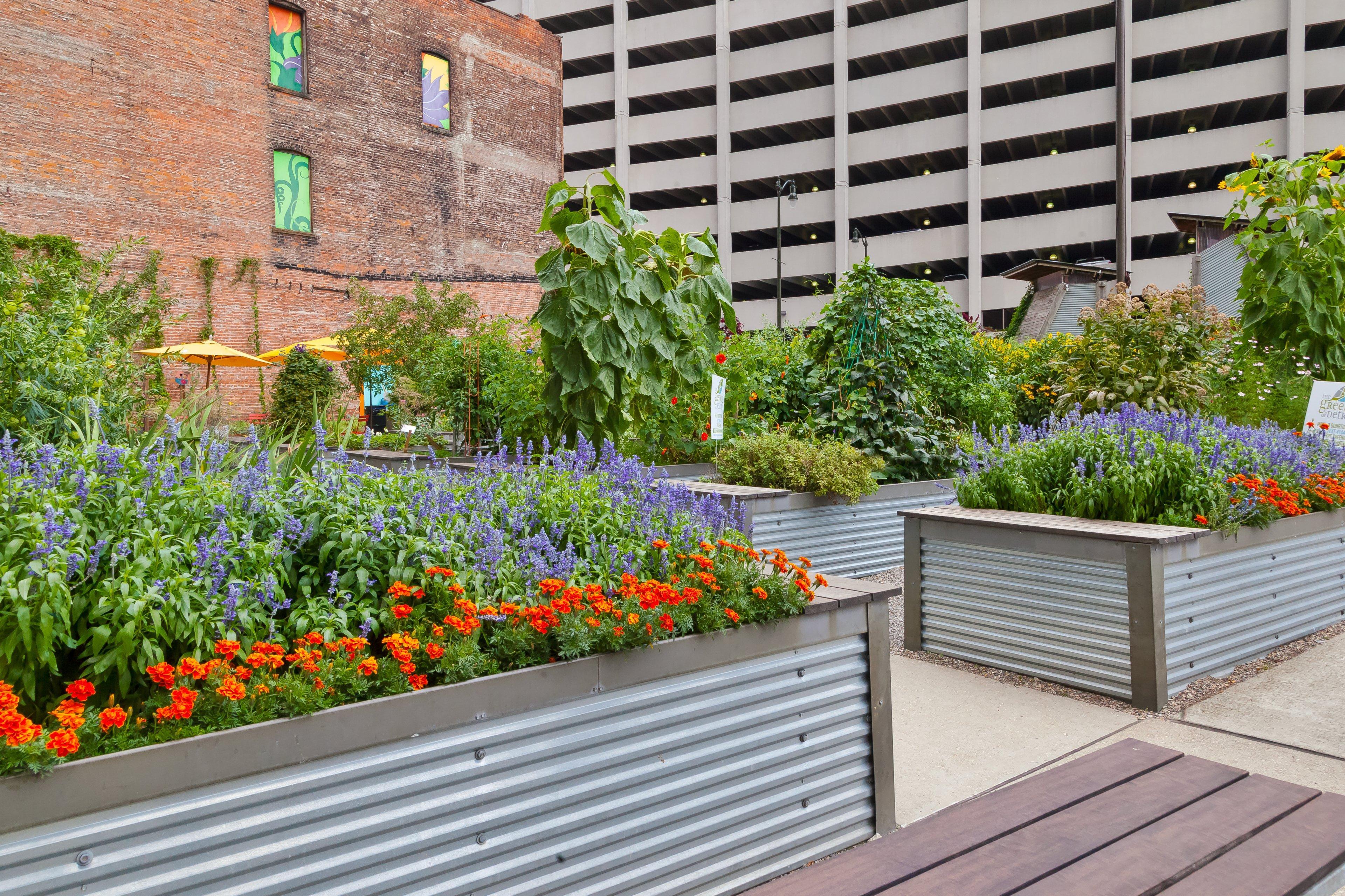 Hotel Indigo Detroit Downtown By Ihg Exterior foto